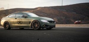 paint protection near me